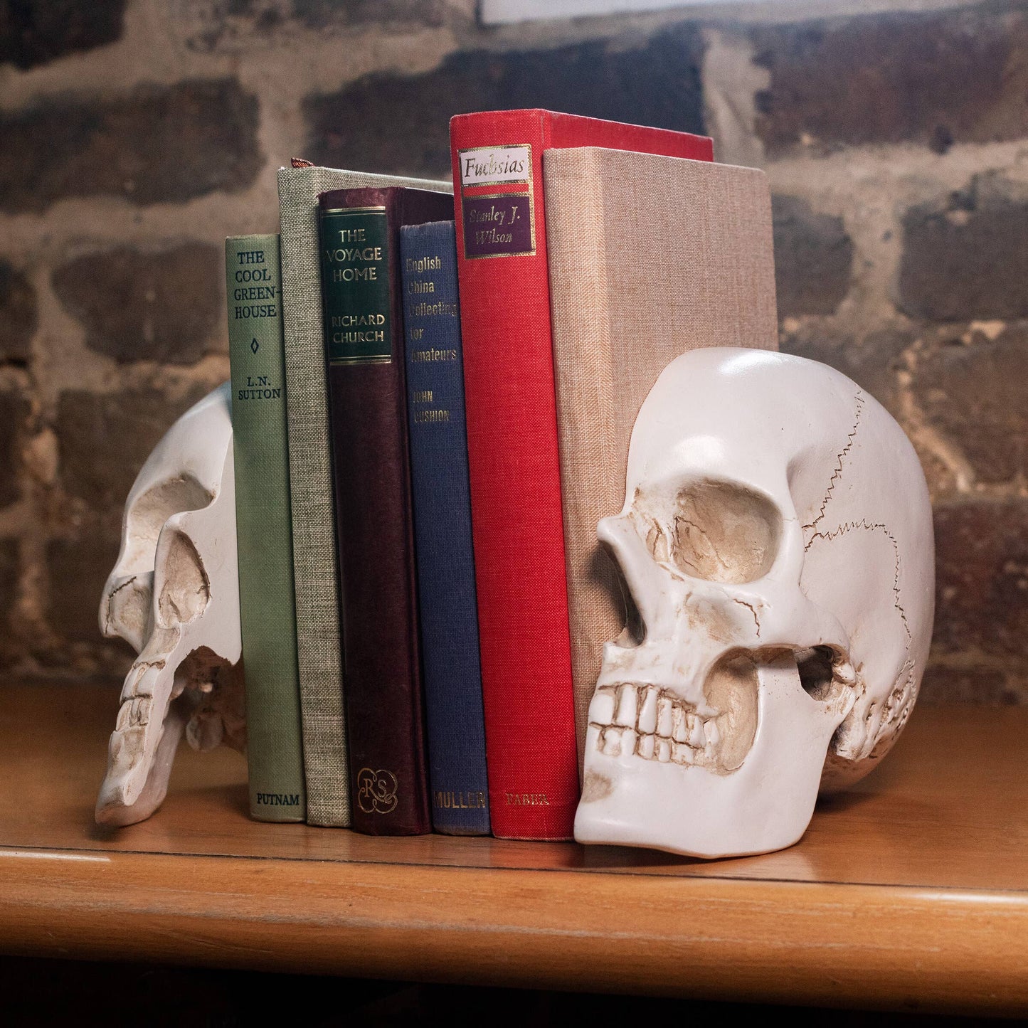 Life-Size Skull Bookends — Realistic Polyresin (Set of 2)