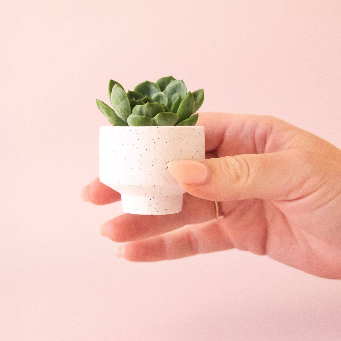 Speckle Footed Planter | Mini