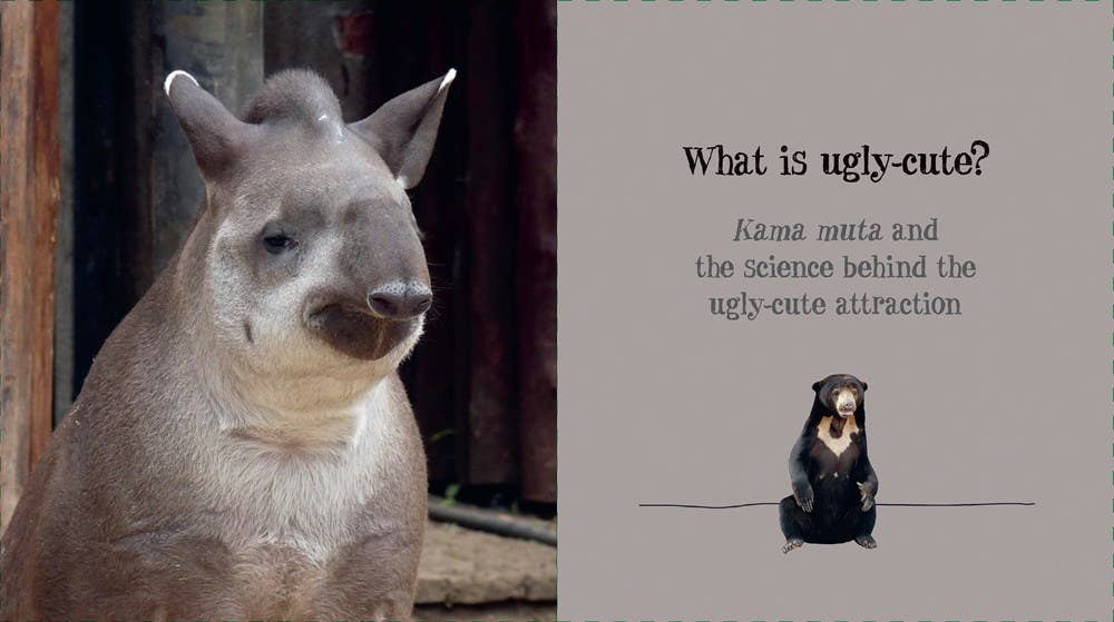 Ugly-Cute — Jennifer McCartney