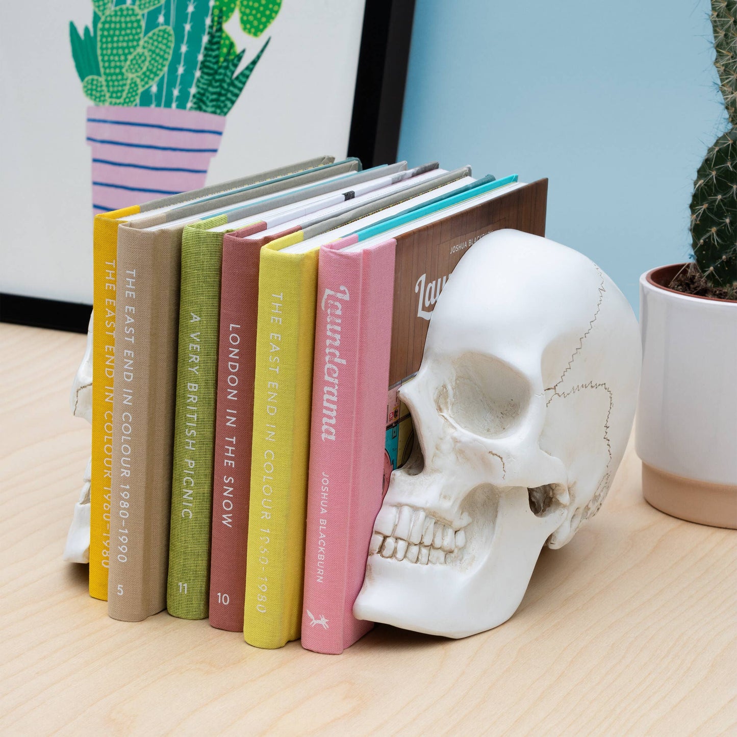Life-Size Skull Bookends — Realistic Polyresin (Set of 2)