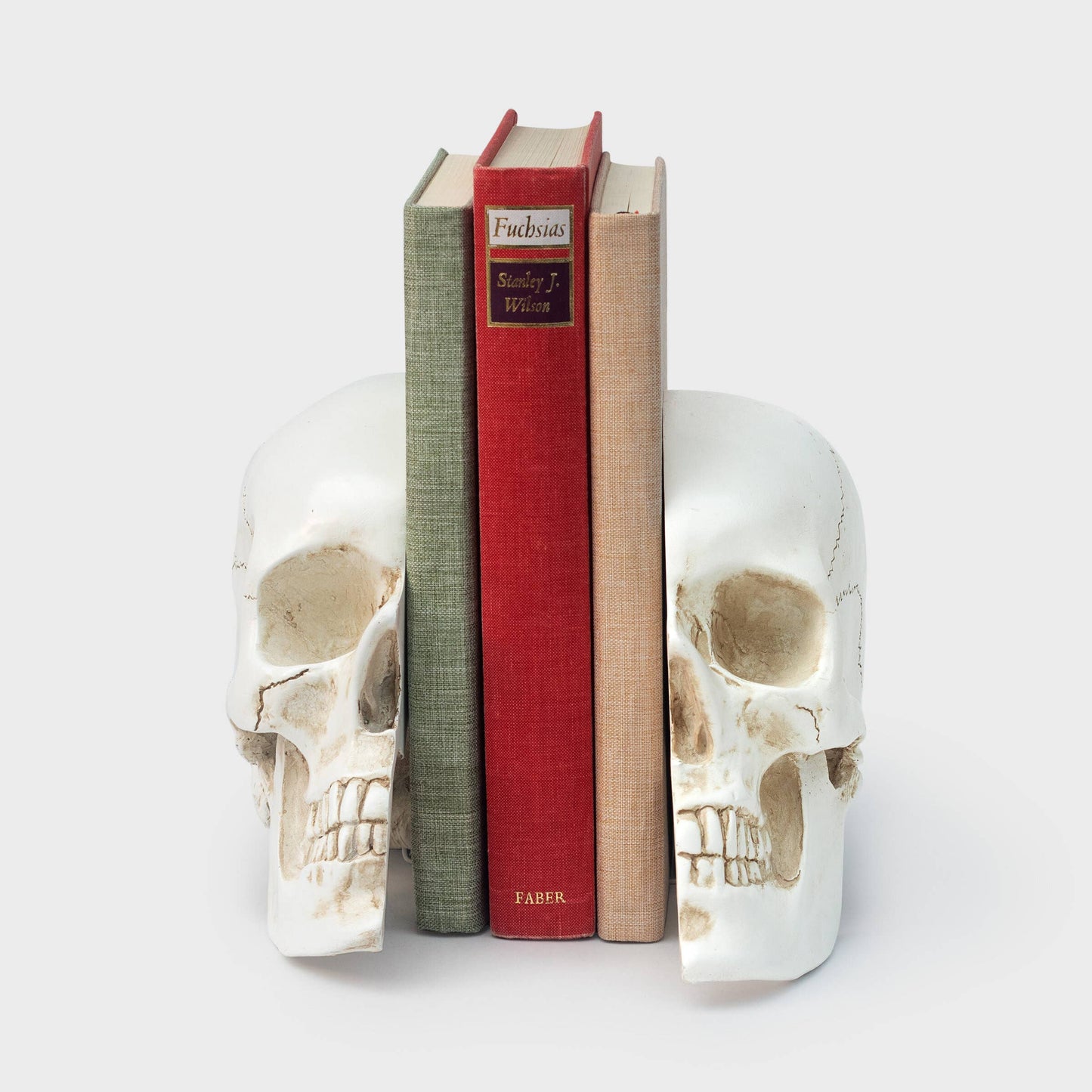Life-Size Skull Bookends — Realistic Polyresin (Set of 2)