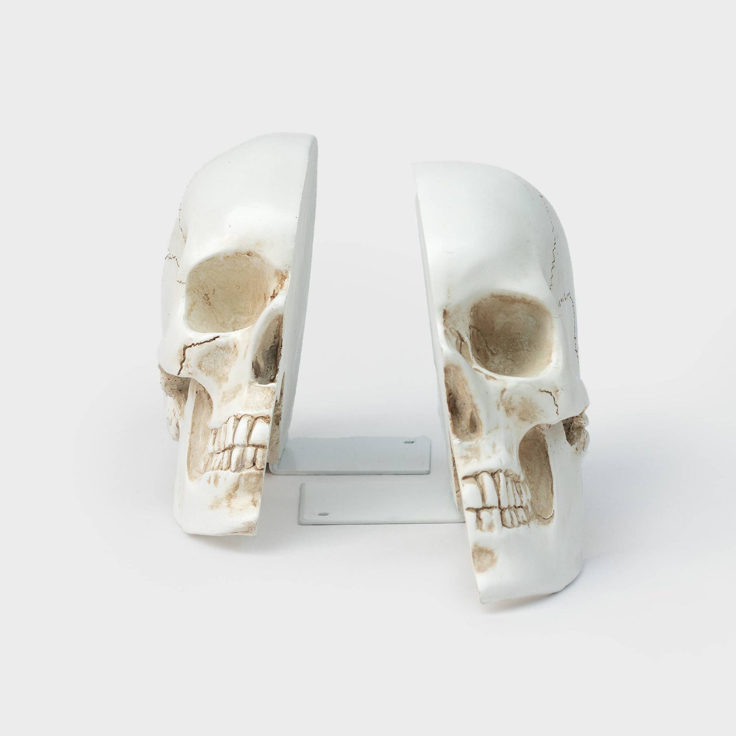 Life-Size Skull Bookends — Realistic Polyresin (Set of 2)