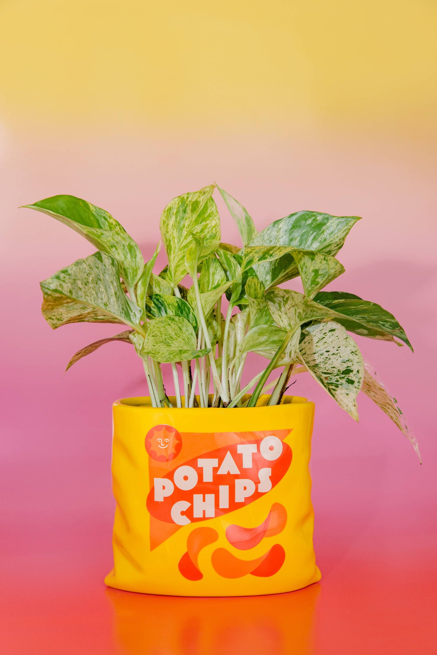 Ceramic Vase, Potato Chips