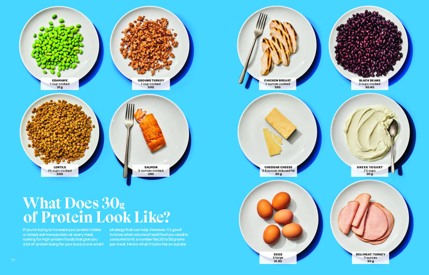 Wh Protein Playbook