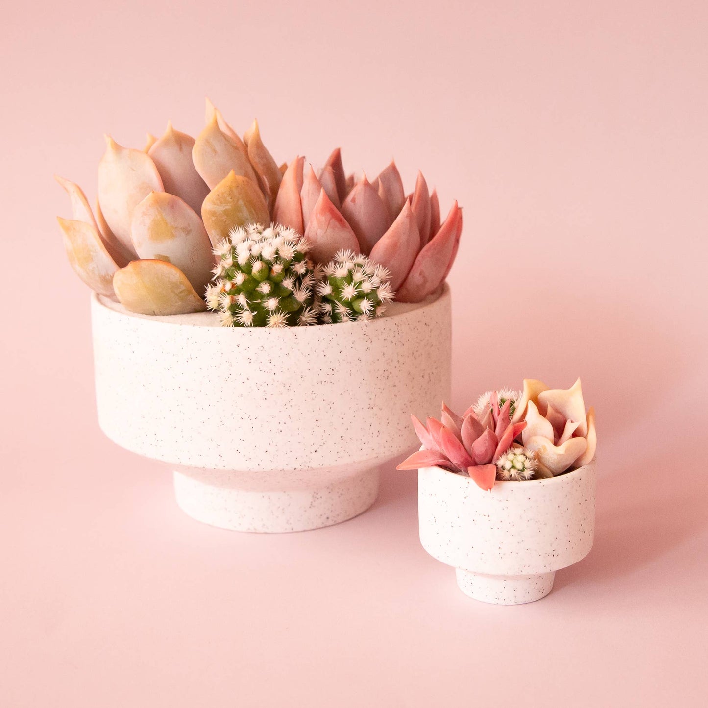 Speckle Footed Planter | Mini