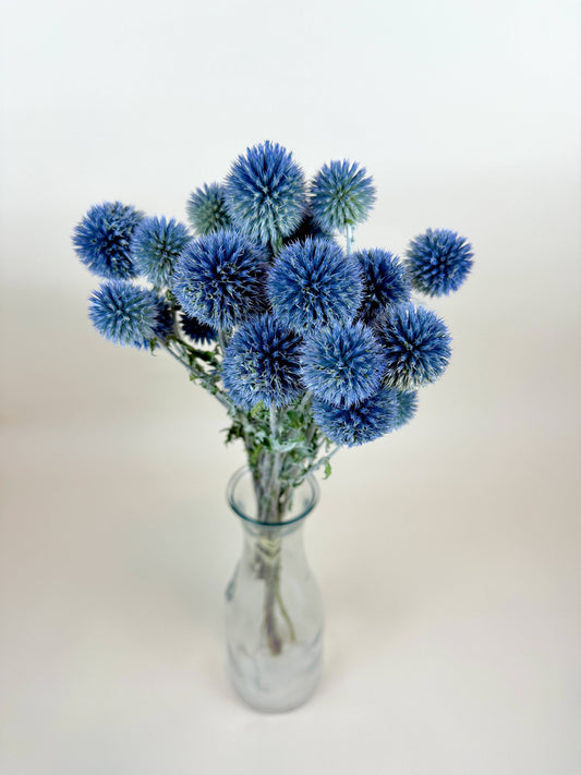 Globe Thistle (Echinops) – Natural Blue, Air-Dried