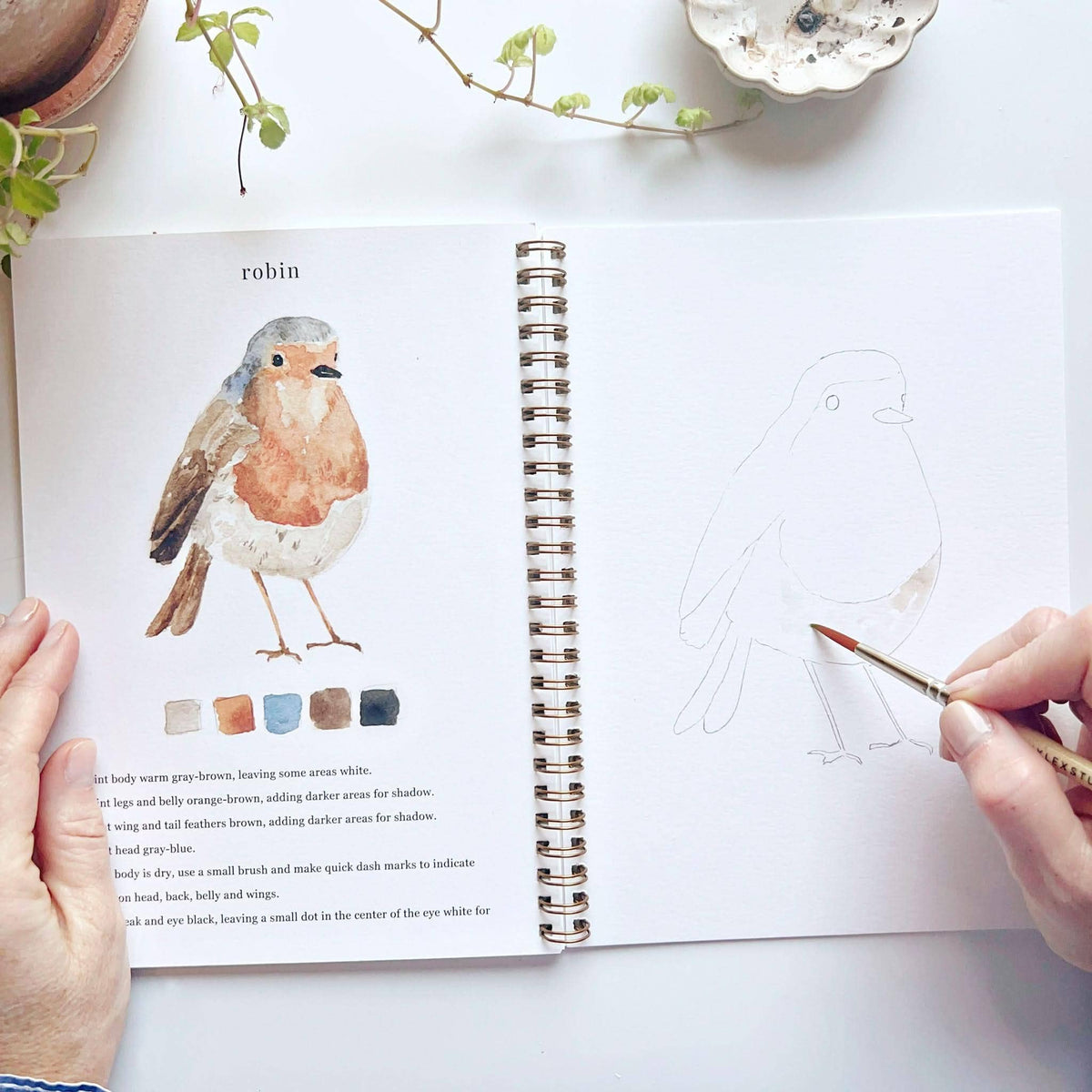 Birds watercolor workbook - Dear John