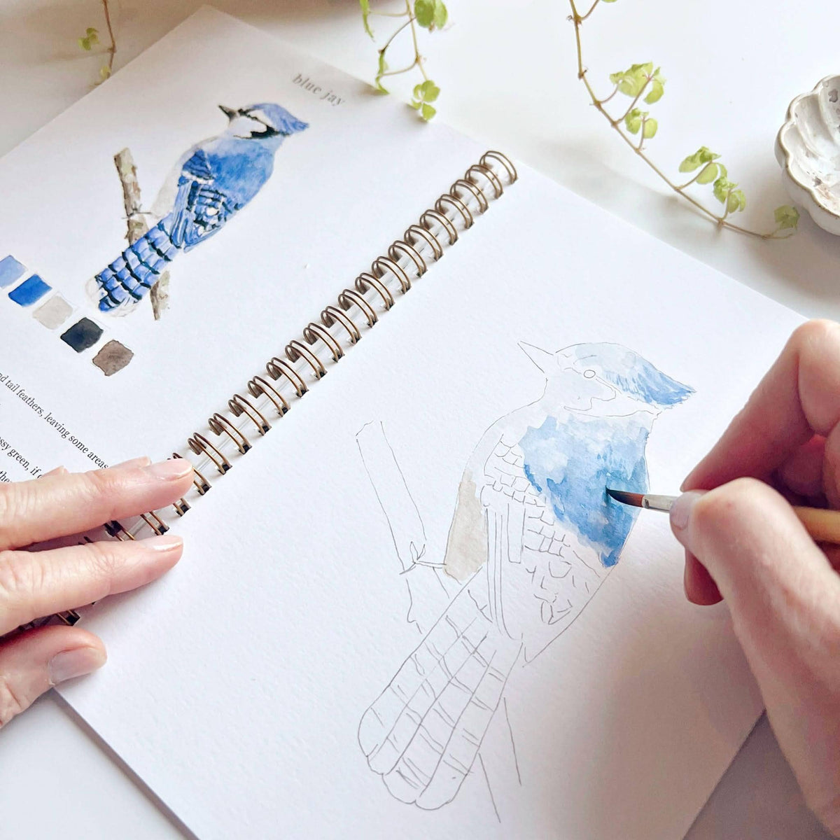 Birds watercolor workbook - Dear John