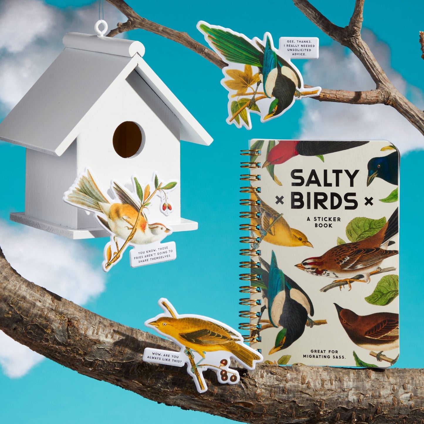 Brass Monkey Salty Birds Sticker Book - Dear John
