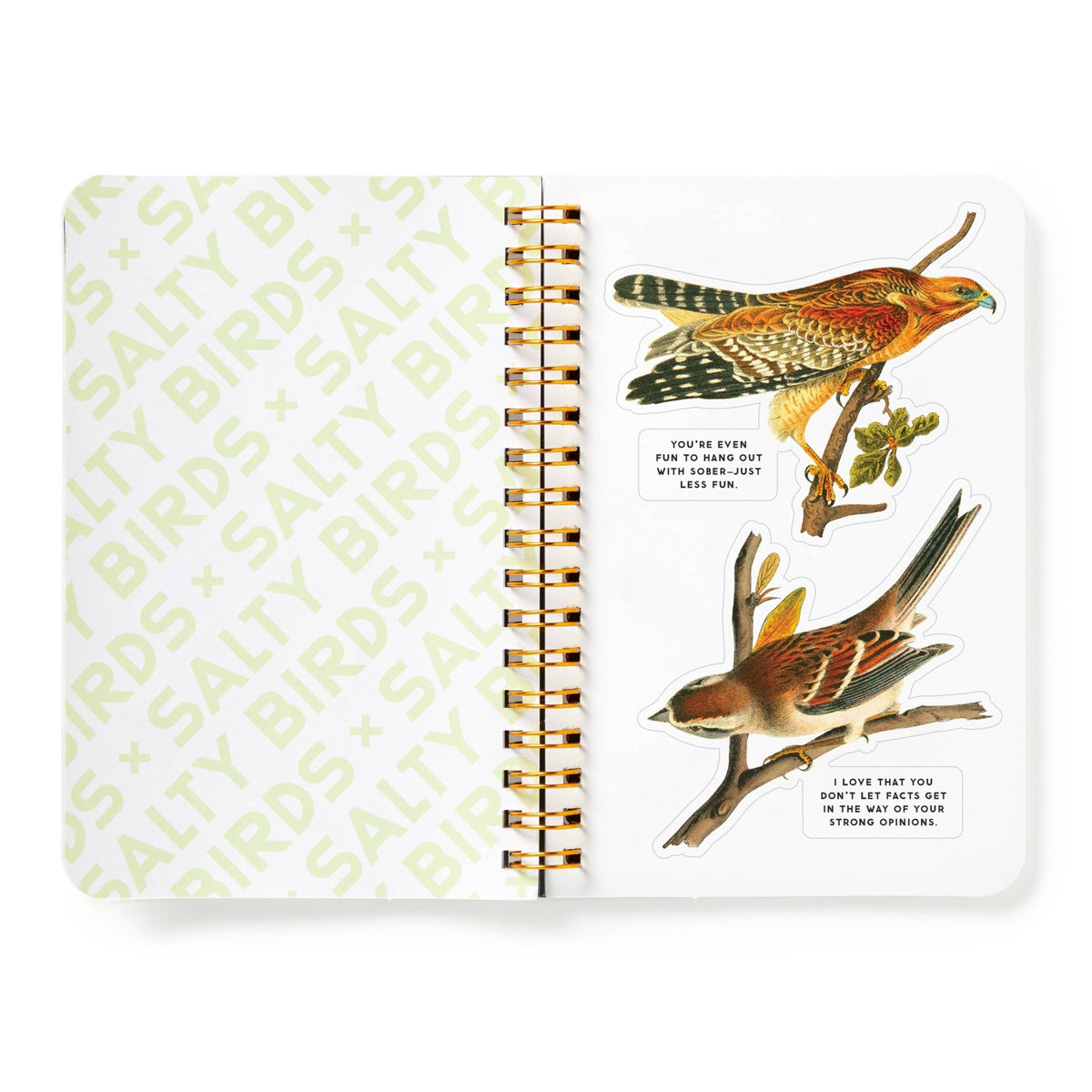 Brass Monkey Salty Birds Sticker Book - Dear John