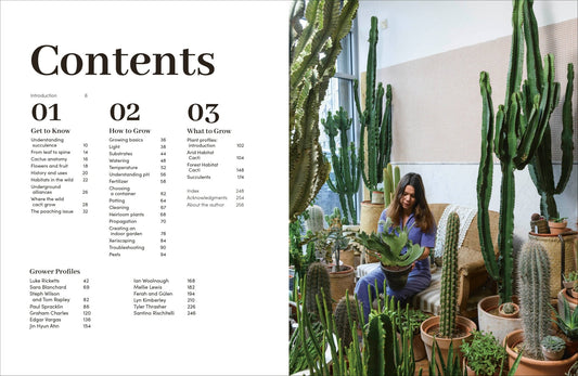Cacti Succulents - Dear John