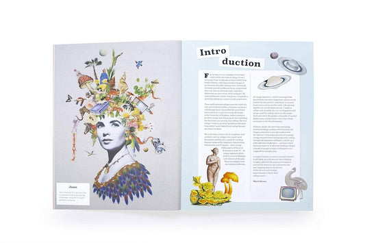 Chronicle Books - Extraordinary Things to Cut Out and Collage - Dear John