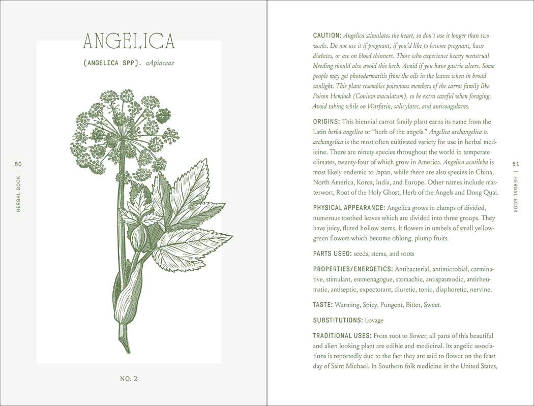 Complete Folk Herbal by Rebecca Beyer - Dear John