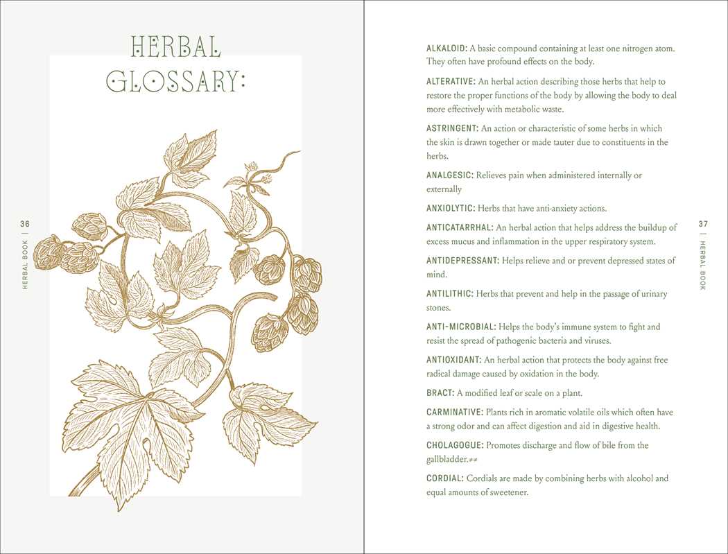 Complete Folk Herbal by Rebecca Beyer - Dear John