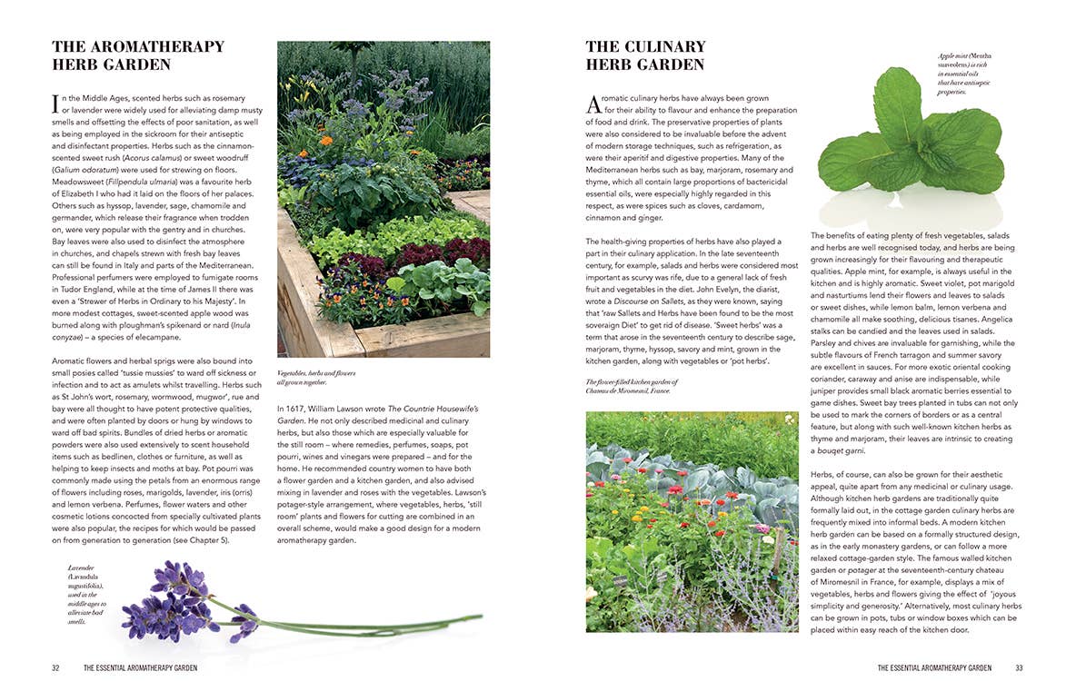 Essential Aromatherapy Garden - Dear John