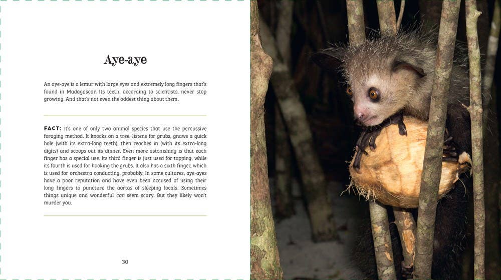 Ugly-Cute — Jennifer McCartney