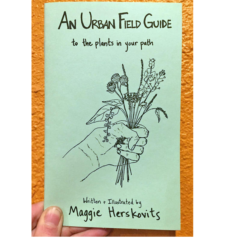 Urban Field Guide to the Plants in Your Path — Discover the Wild Green Around You (Zine)
