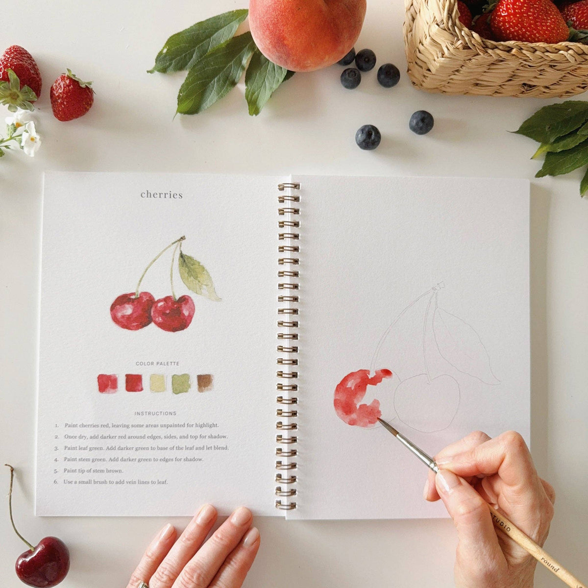 Fruit watercolor workbook - Dear John