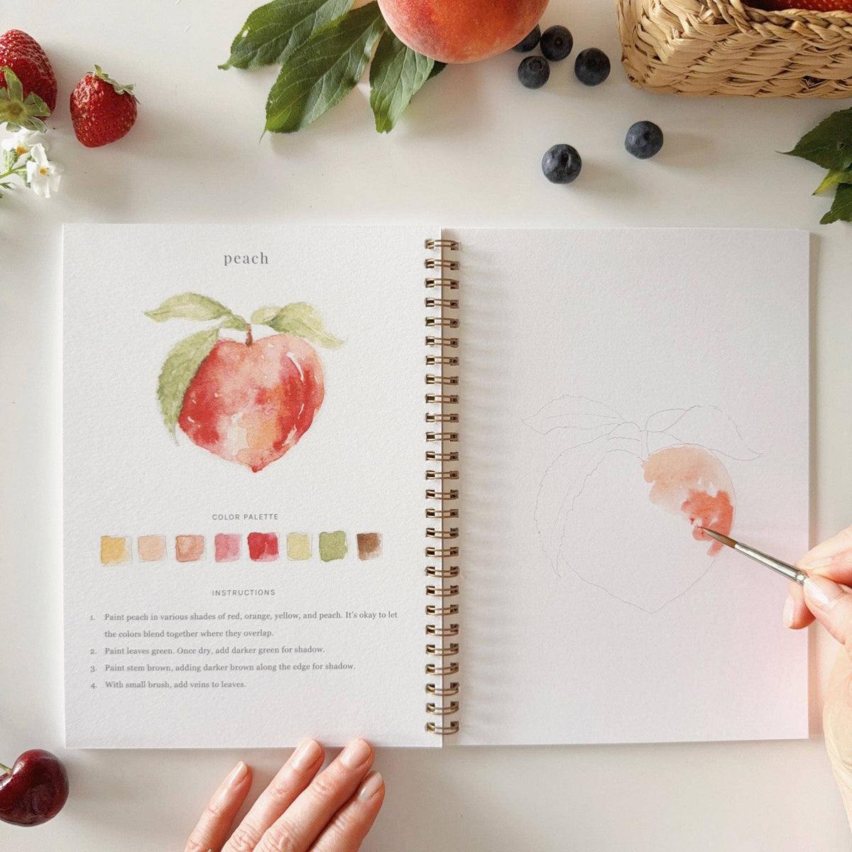 Fruit watercolor workbook - Dear John