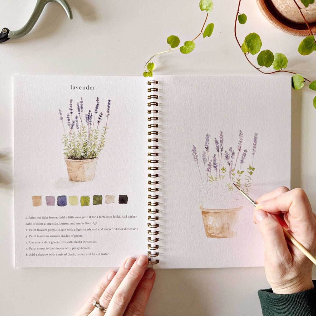 Garden watercolor workbook - Dear John