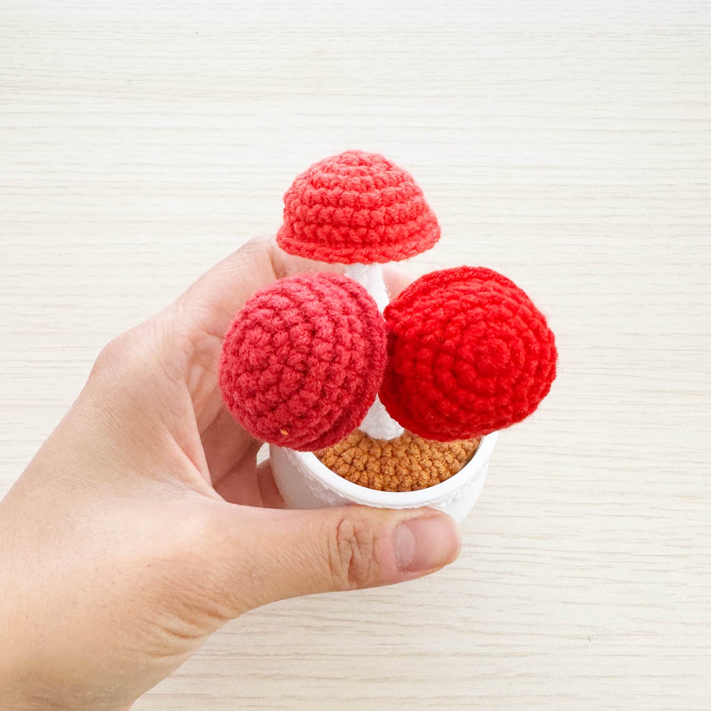 Handmade Crochet Mushroom Pot | Mushroom Decor - Dear John