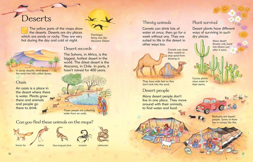 HarperCollins - Children's Picture Atlas: Usborne - Dear John