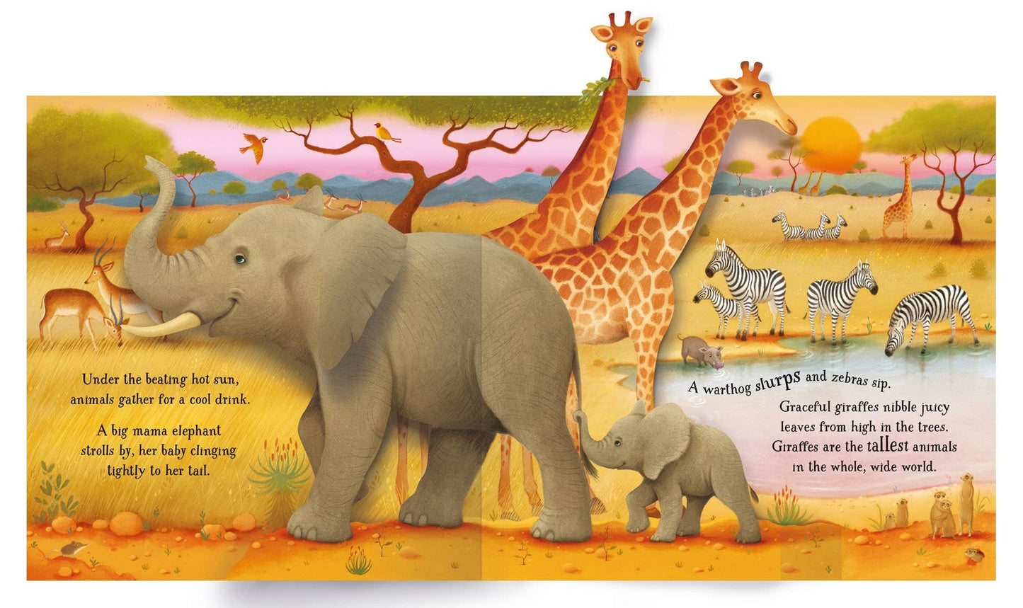 HarperCollins - Pop - Up Animals : Usborne - Dear John