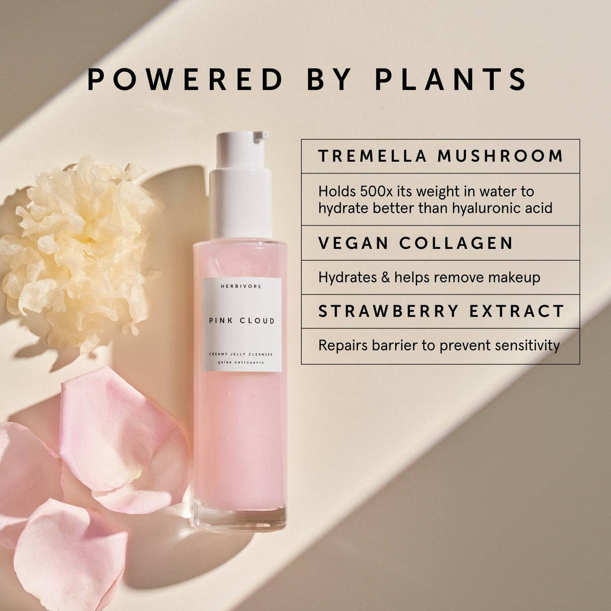 Herbivore Botanicals - PINK CLOUD Rosewater + Tremella Creamy Jelly Cleanser - Dear John