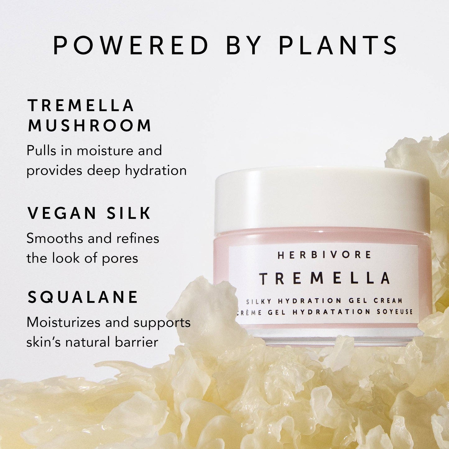 Herbivore Botanicals - TREMELLA Silky Hydration Gel Cream - Dear John
