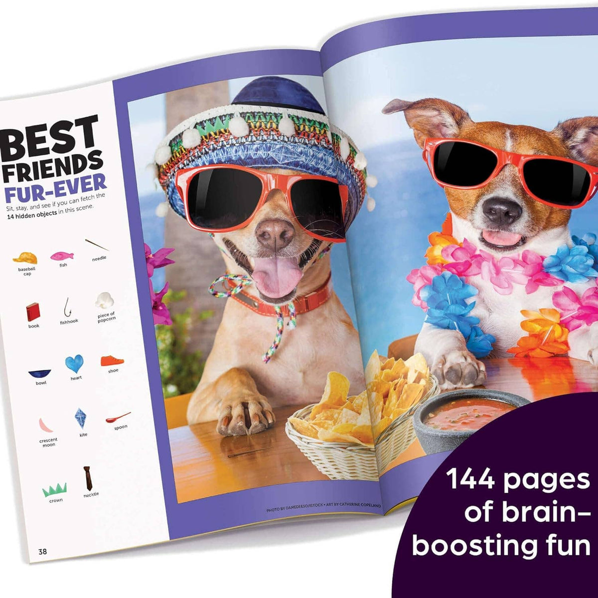 Hidden Pictures: Advanced Challenge — Next - Level Seek - and - Find (Ages 8–12) - Dear John