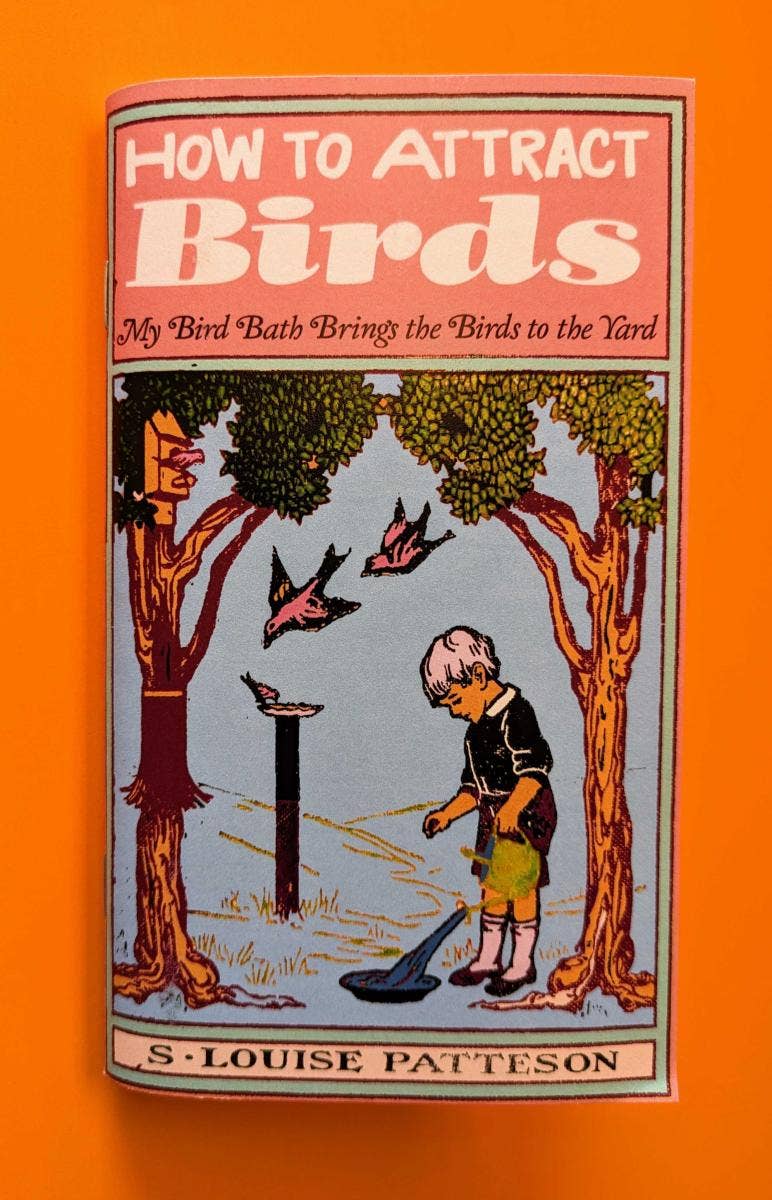 How to Attract Birds (Zine) - Dear John
