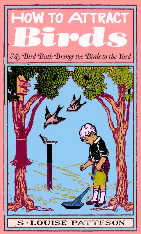 How to Attract Birds (Zine) - Dear John