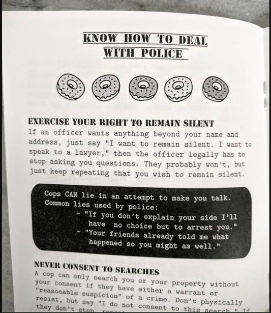 How to Plan for Action: A Protest Prep Zine - Dear John