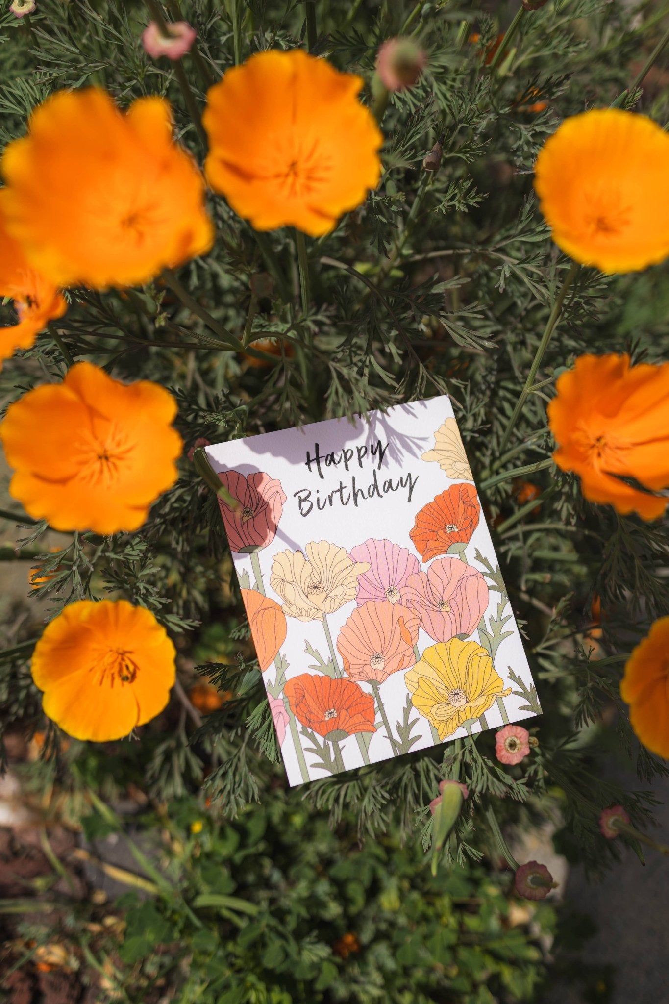 Illustrating Amy - Birthday Poppies Card - Dear John