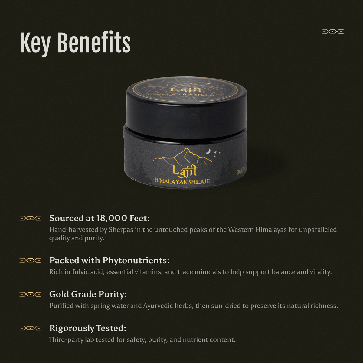 Lajit Gold - Lajit Himalayan Shilajit Resin - Dear John