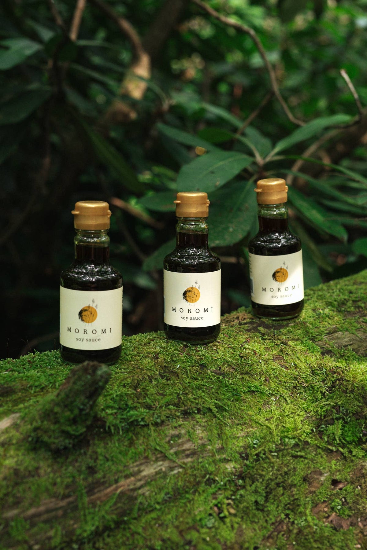 Moromi - Moromi Original Soy Sauce - Dear John