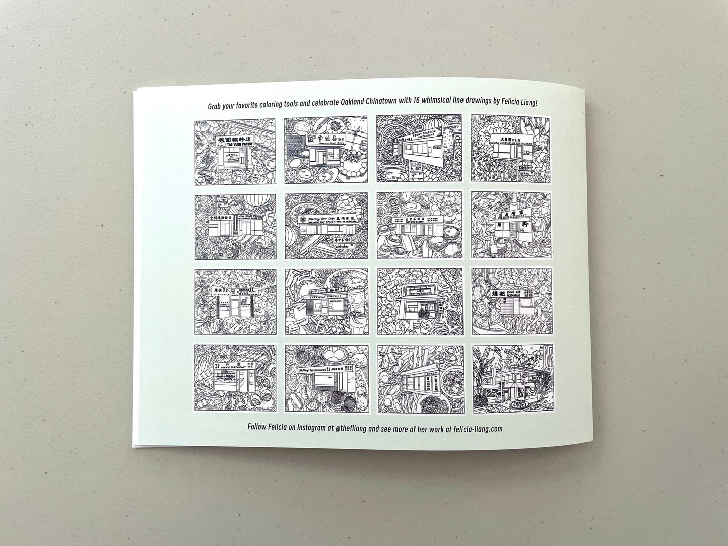 Oakland Chinatown Storefronts Coloring Book — 16 Pages by Felicia Liang (8.5" × 11" Landscape) - Dear John