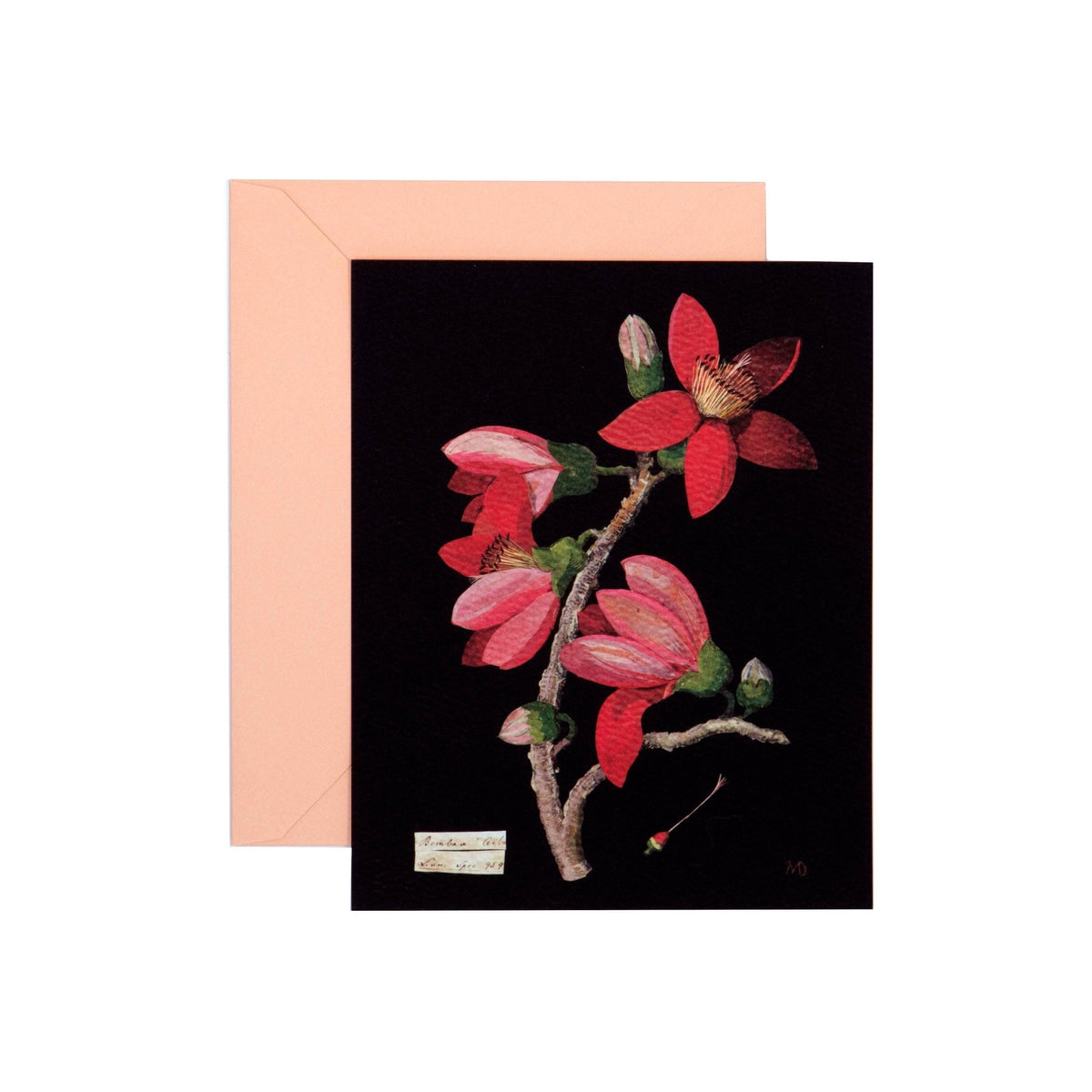 Paper Flowers Cards and Envelopes - Dear John