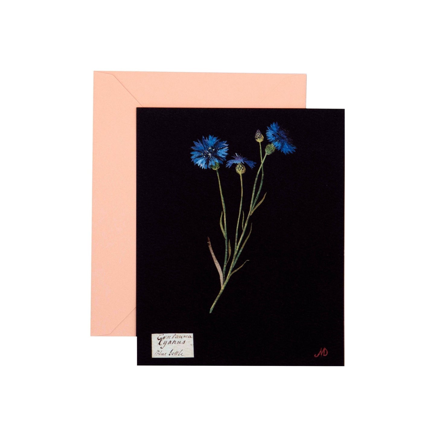 Paper Flowers Cards and Envelopes - Dear John