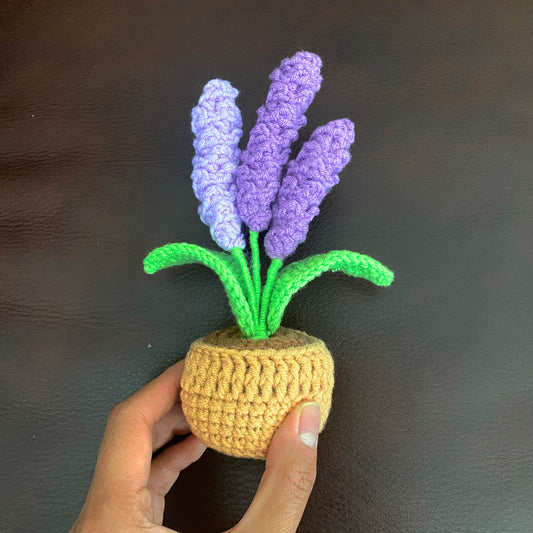PinkLadyWorkshop - Crochet Lavender Pot | Lavender Decor | Handmade Finished - Dear John