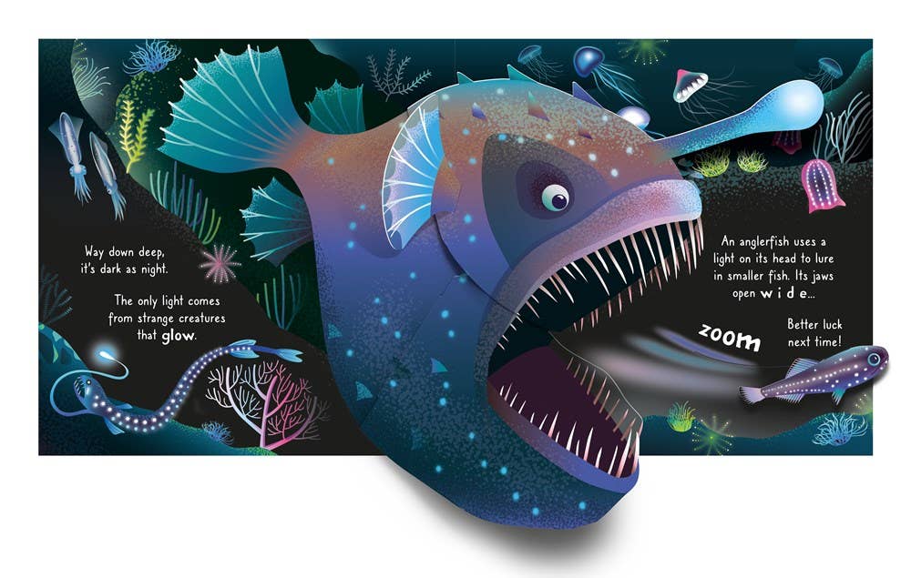 Pop - up Ocean : Usborne - Dear John