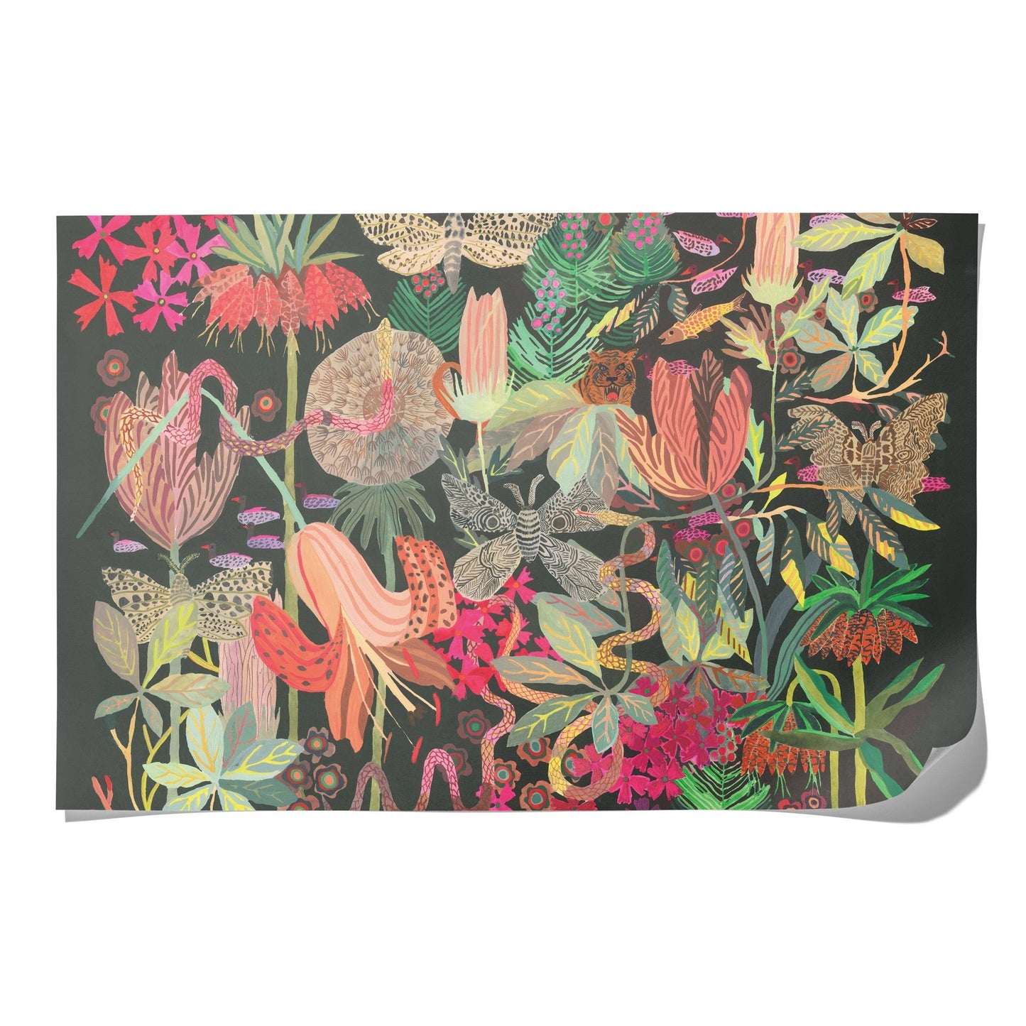 Red Cap Cards - Wild Kingdom wrapping paper - Dear John