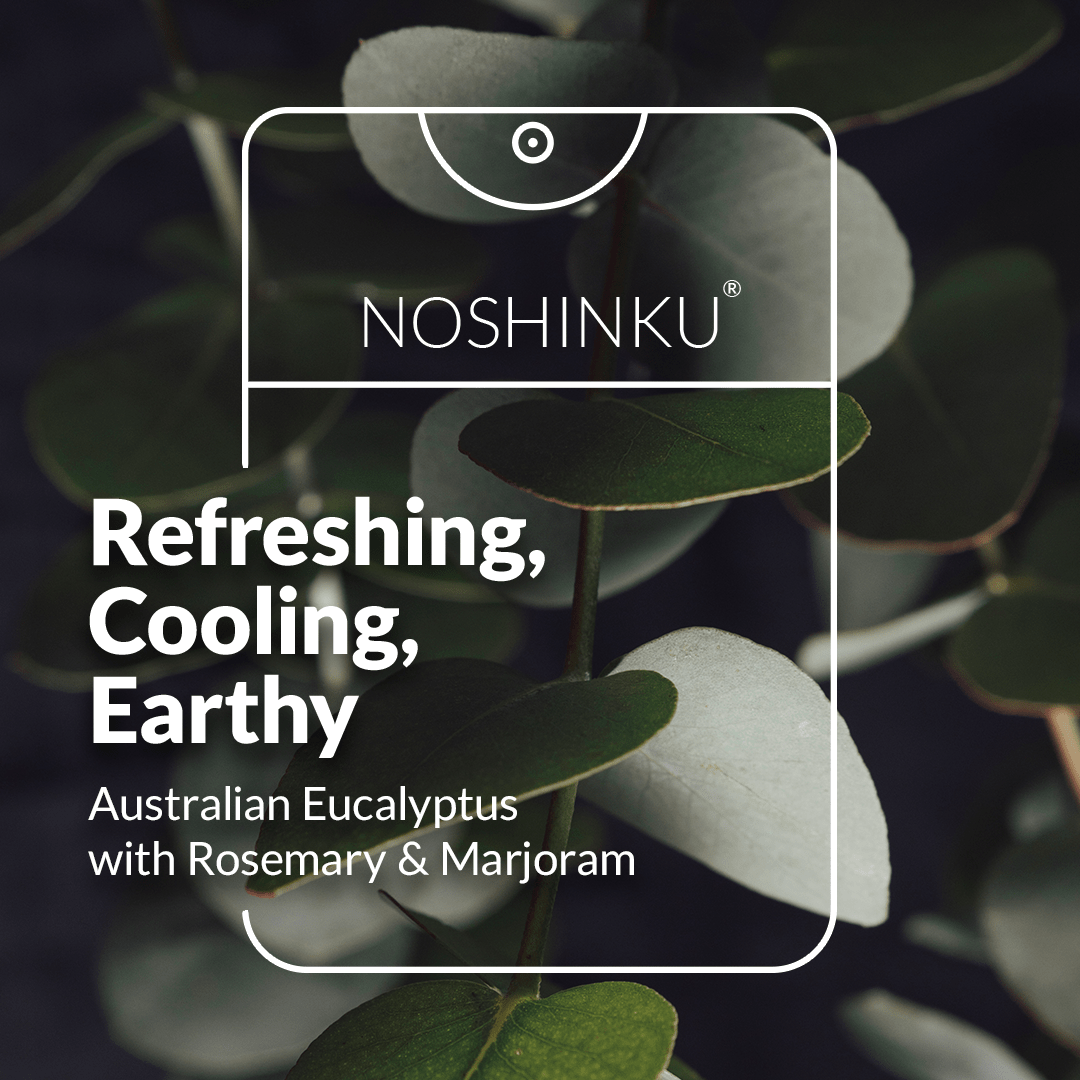 Refillable Eucalyptus Moisturizing Pocket Hand Sanitizer - Dear John