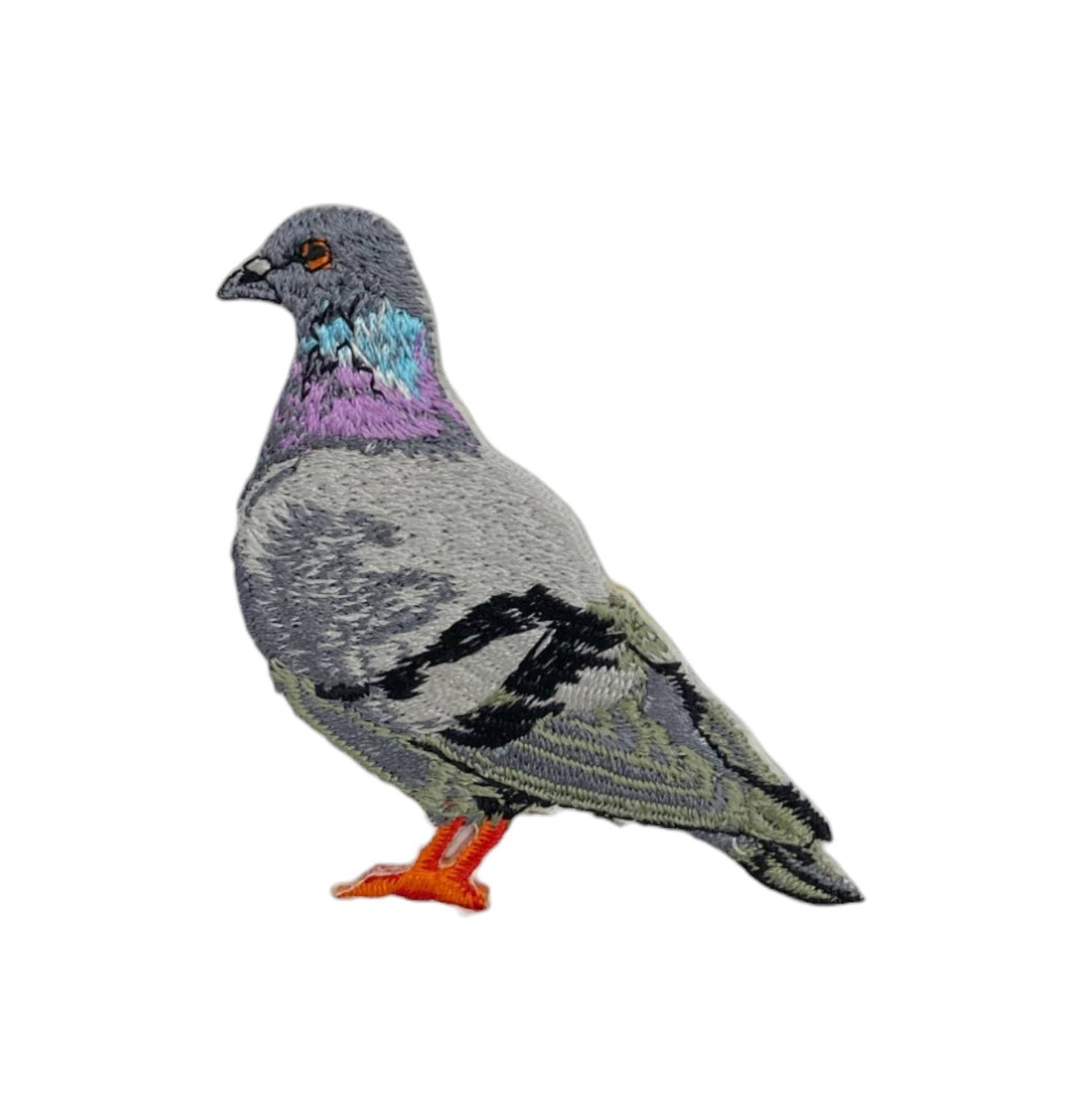 Rock Dove Pigeon, Birds, Iron on Patch - Dear John