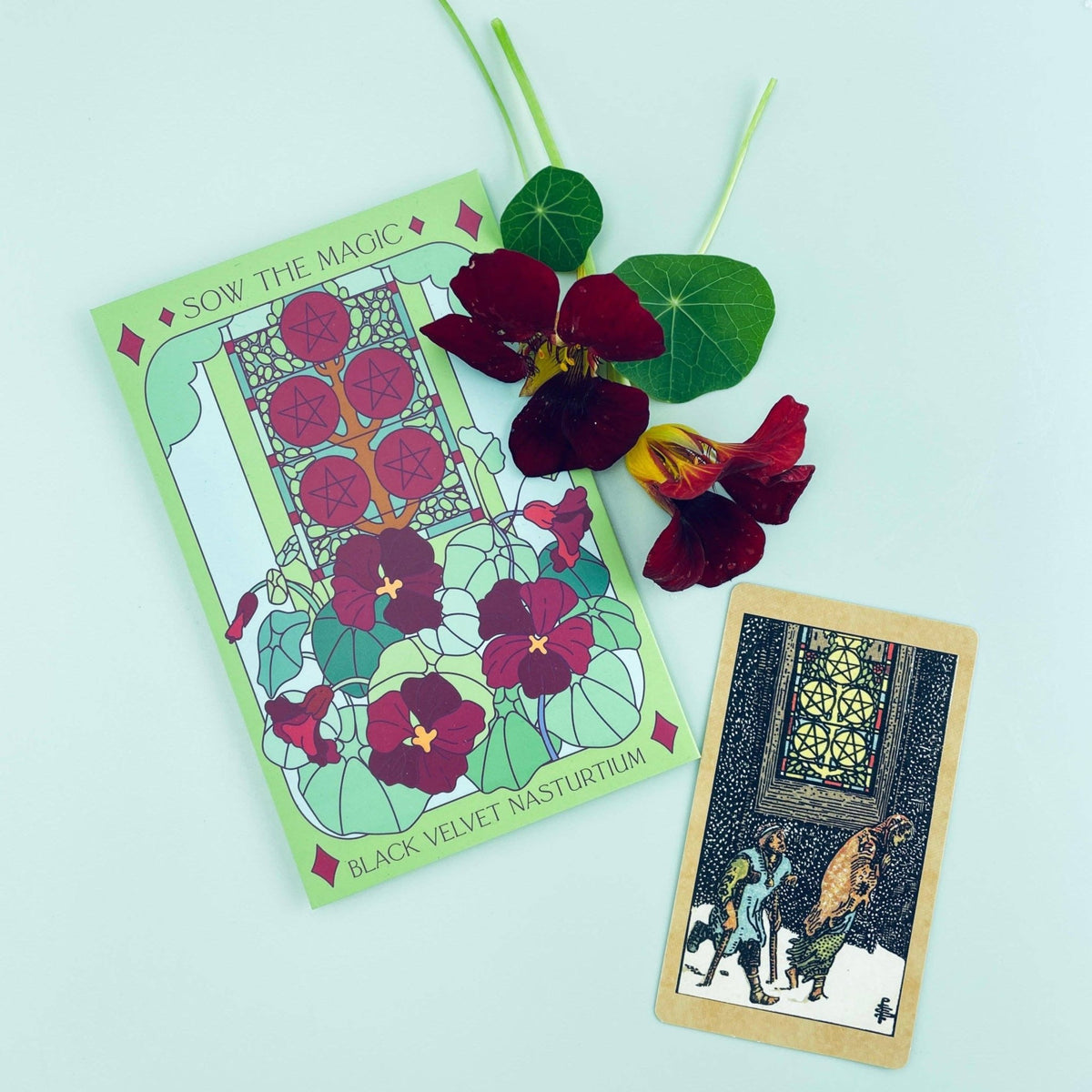 Sow the Magic - Black Velvet Nasturtium Tarot Seed Packet - Dear John