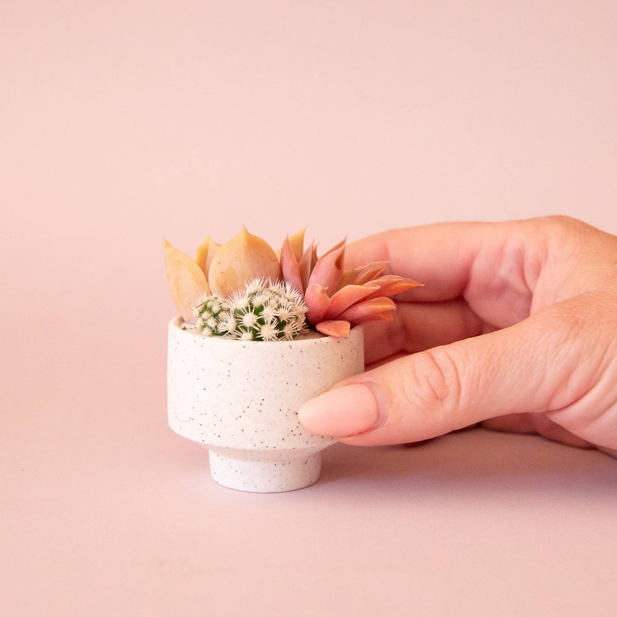 Speckle Footed Planter | Mini - Dear John