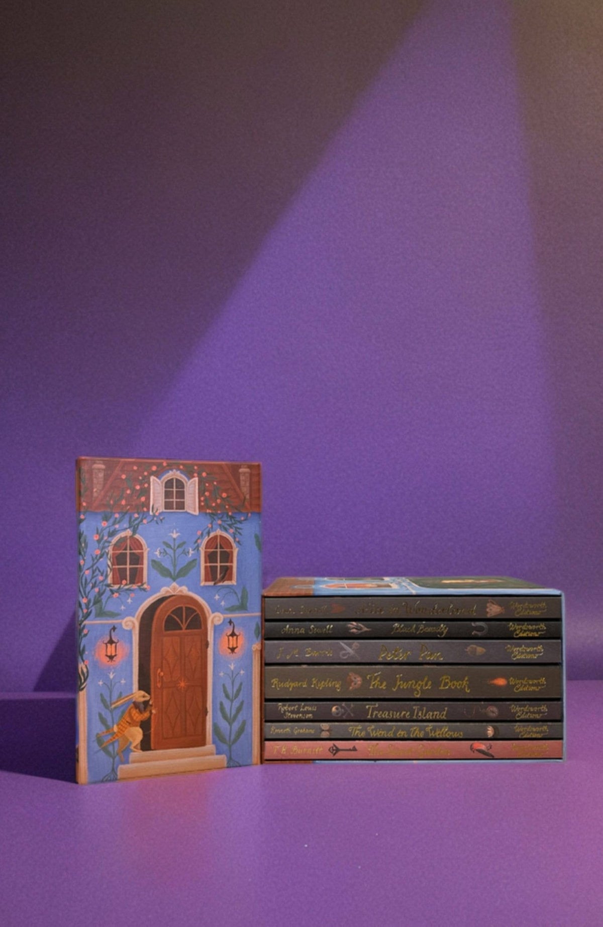 The Children's Classic Collection | Box Set | Book - Dear John