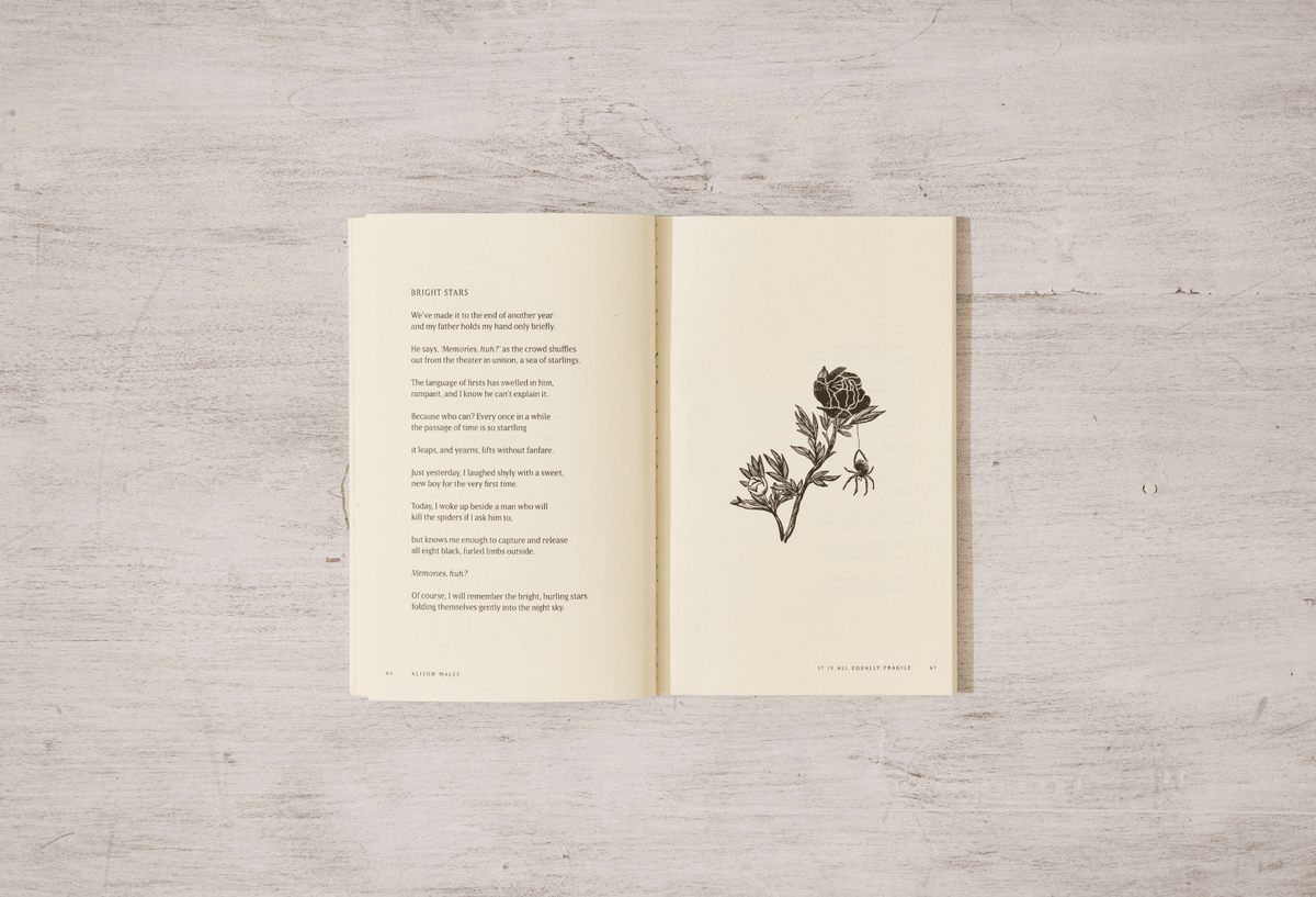 Thought Catalog - It Is All Equally Fragile - poetry book - Dear John