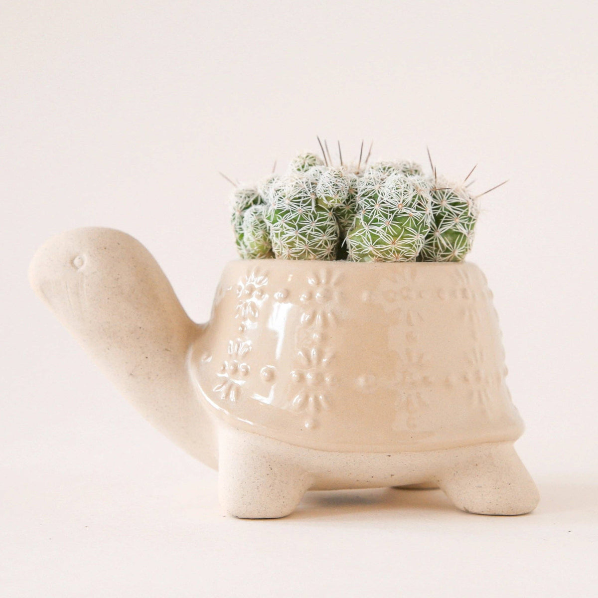 Turtle Planter | Sand - Dear John