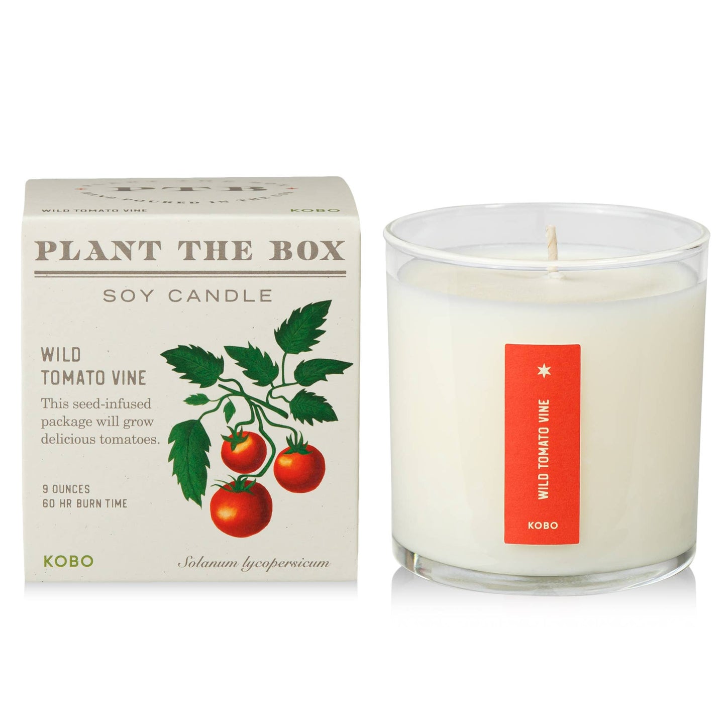 Wild Tomato Vine - Plant the Box Candle - 9oz. - Dear John